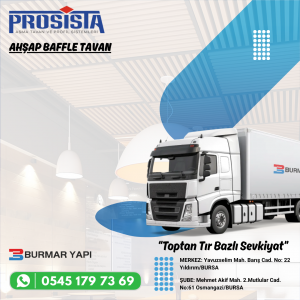 Bilecik Baffle Tavan Fiyatları